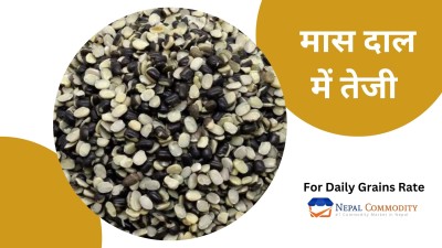 Mass Daal Prices rise due to good demand in Market